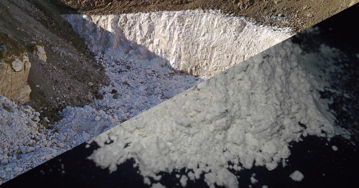 Terre de diatomée calcinée versus non calcinée