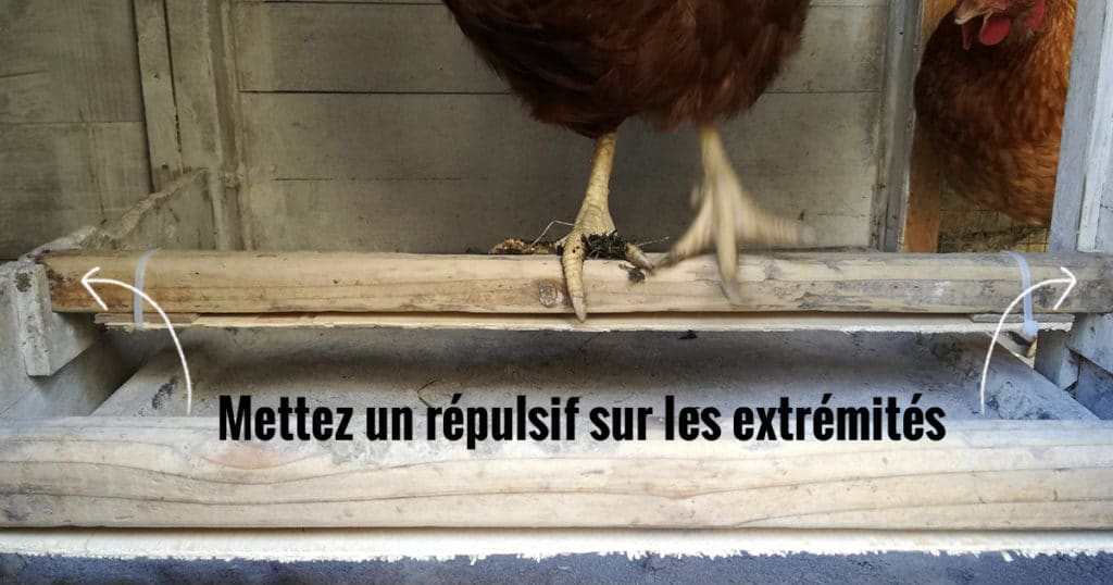 piege à poux