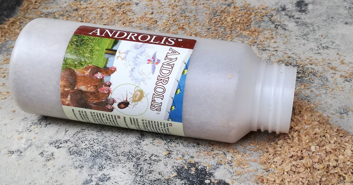 Les Androlis : des super héros pour manger les poux et sauver les poules !