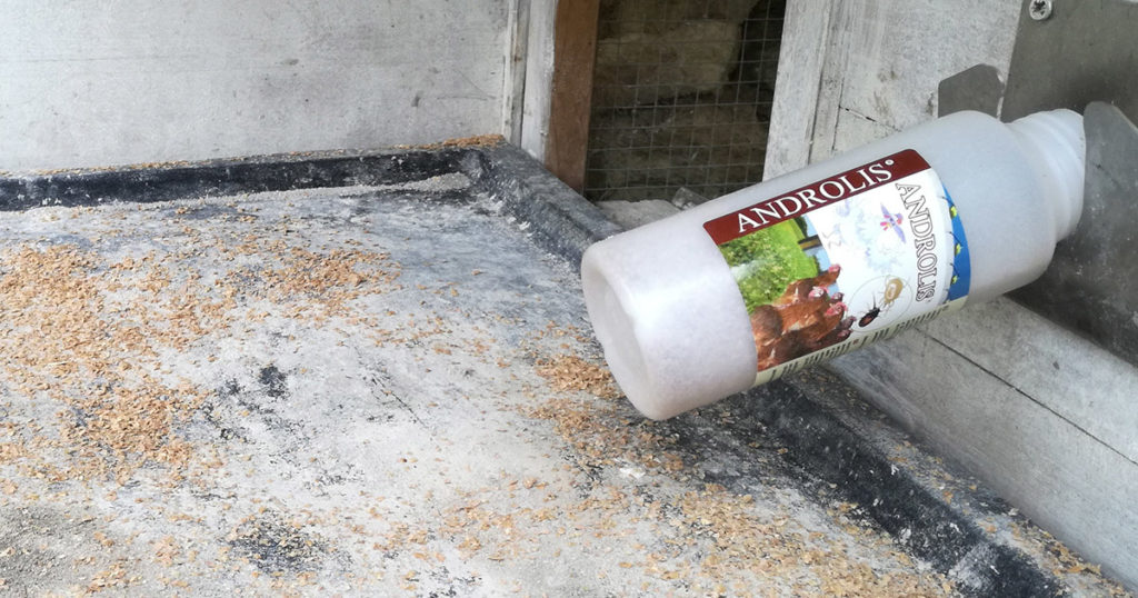 Androlys, prédateurs des poux rouges