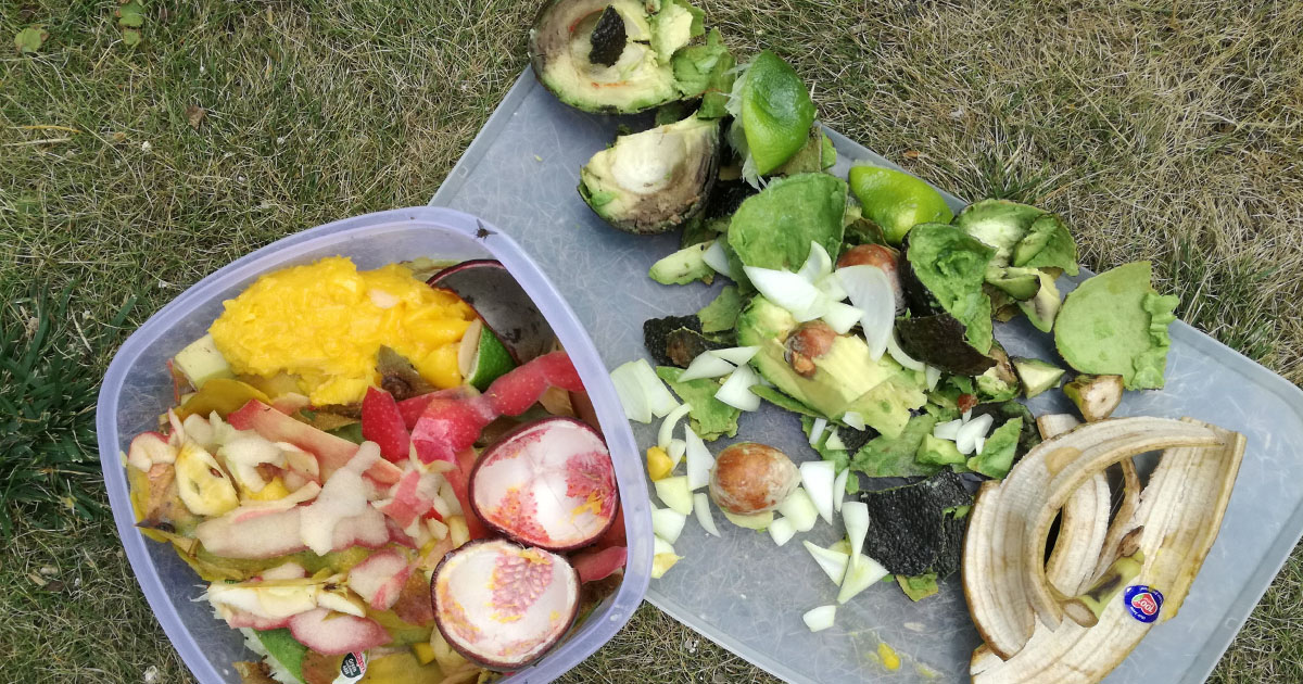 Quels sont les aliments qui sont bons pour la poule sans aucun danger ?