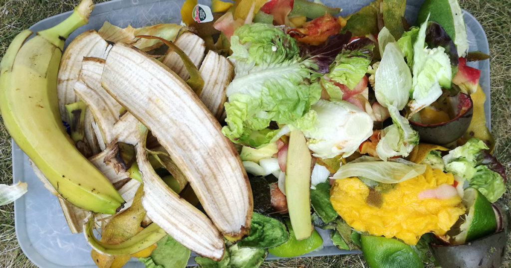 épluchures pour les poules