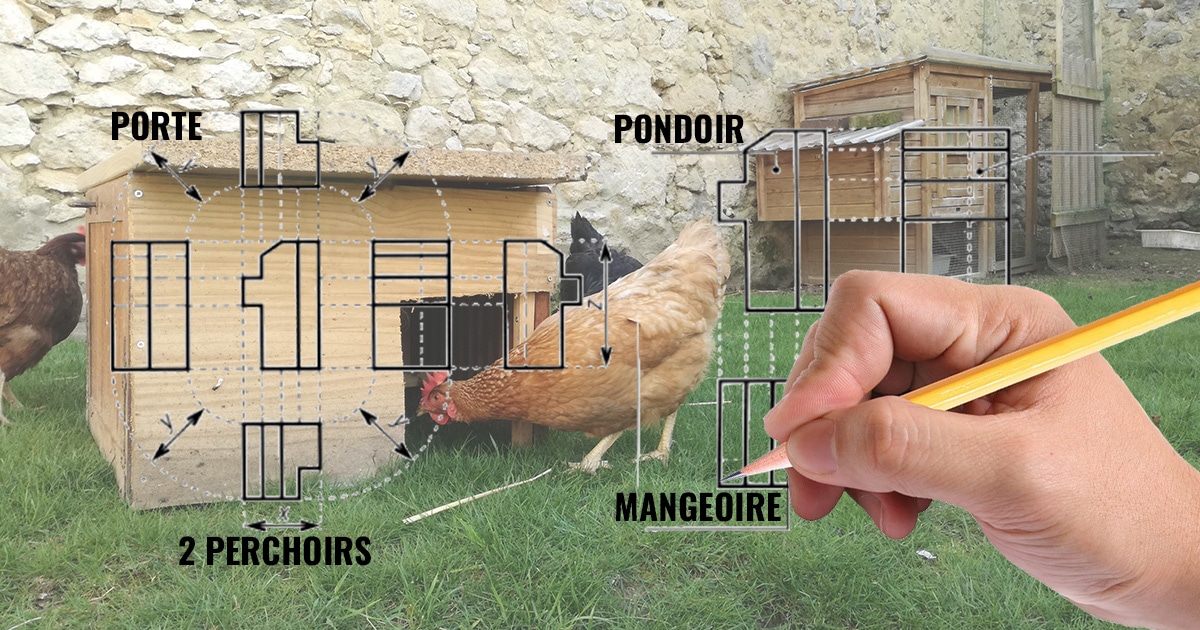 Fabriquer son poulailler soi-même [TUTO]