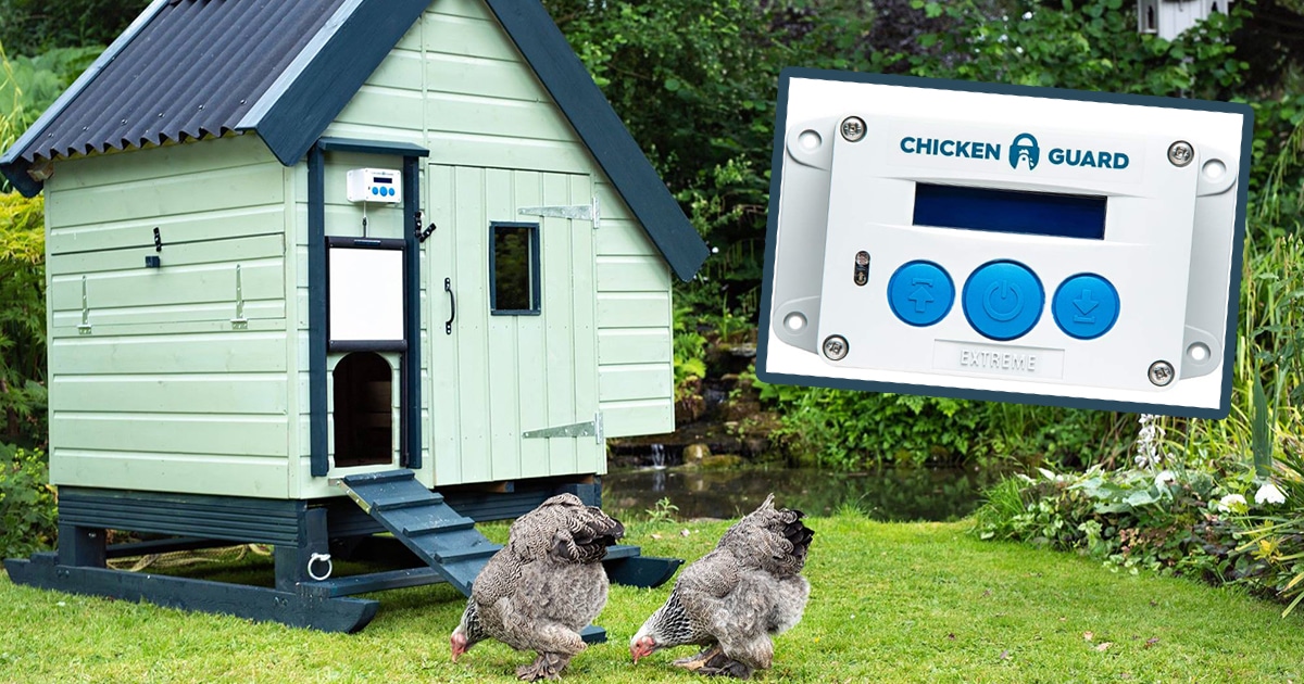 Chickenguard, la porte de poulailler automatique