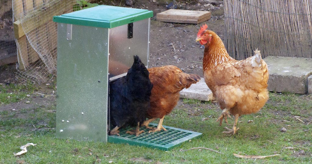 test de la feedomatic