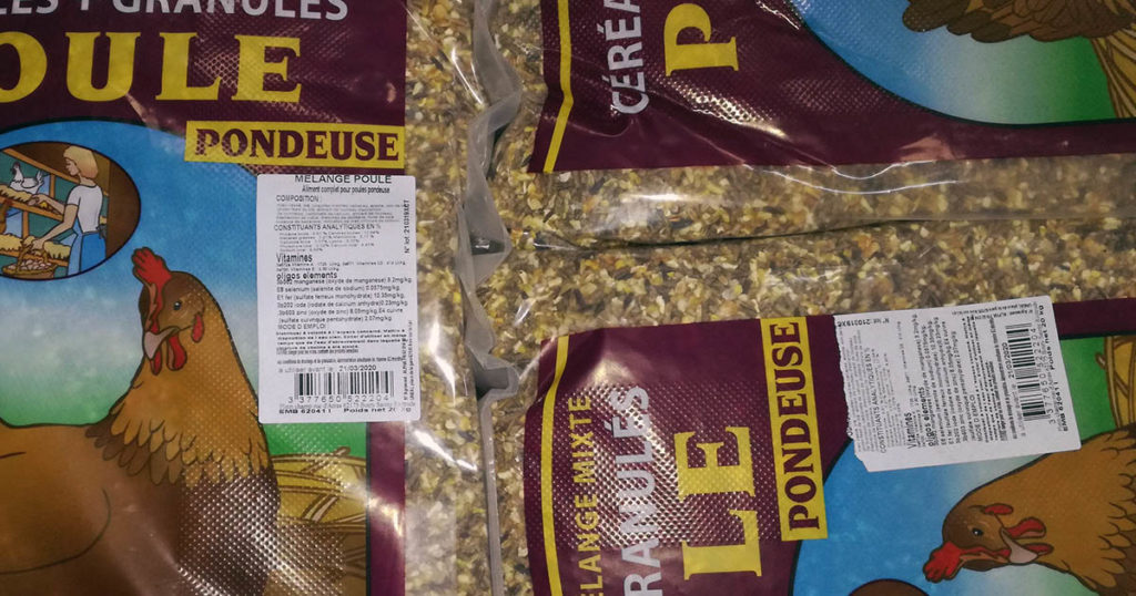alimentation poules pondeuses