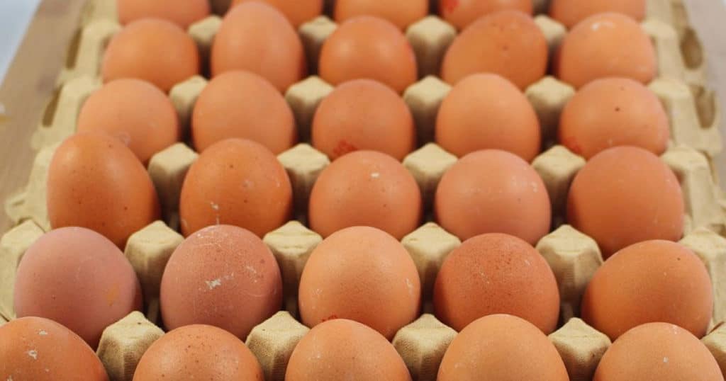 oeuf de poule