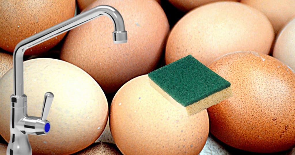 Faut-il laver ses oeufs ?