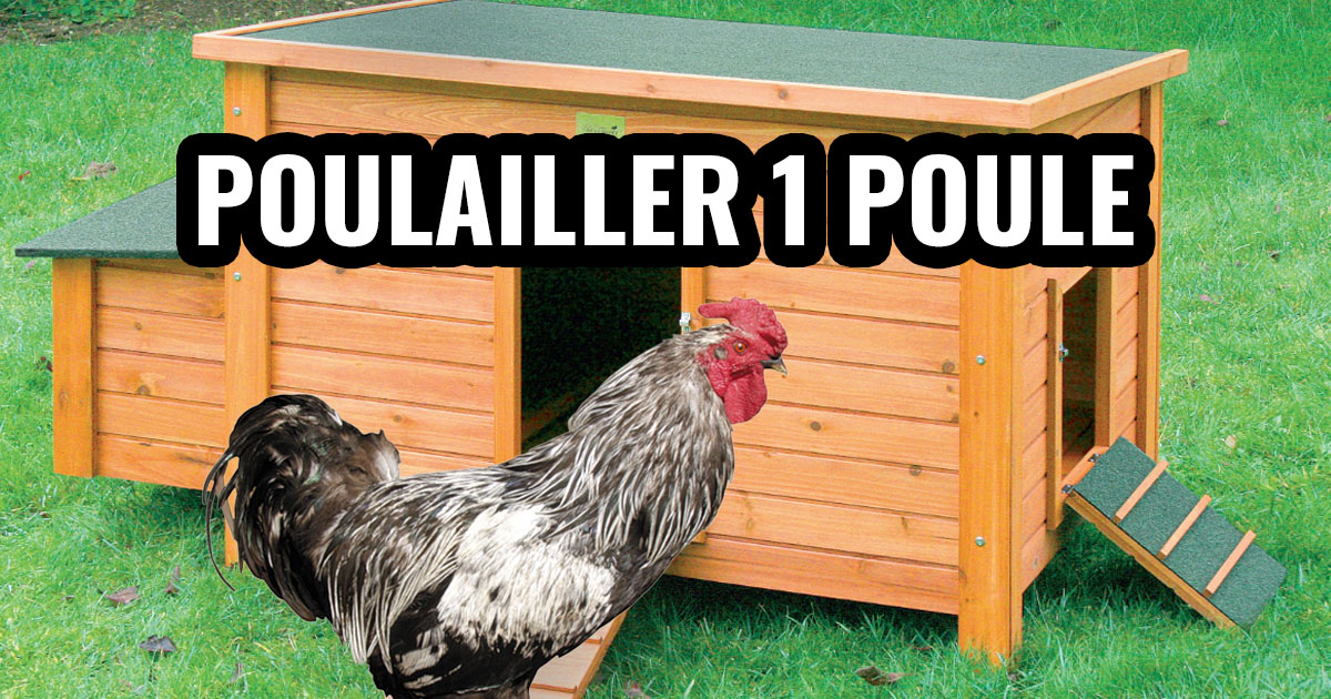 Mini poulailler pour une poule