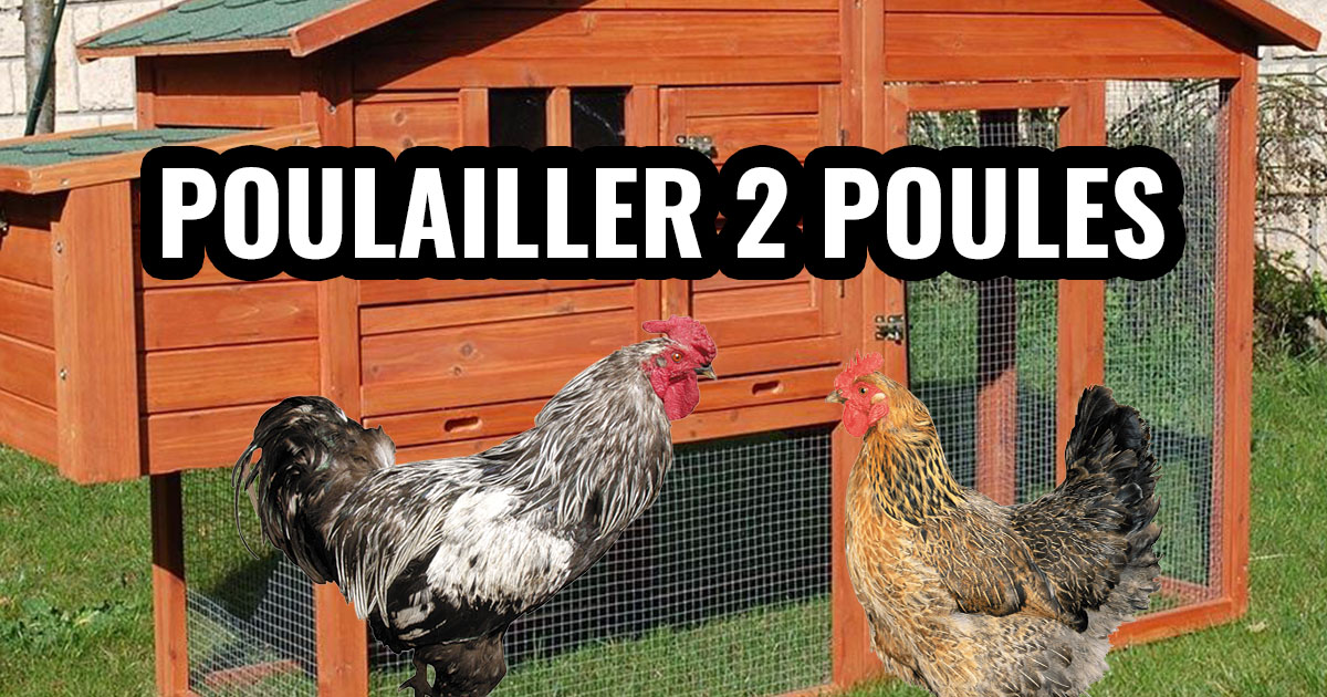 Poulailler pour 2 poules
