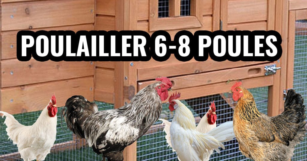 poulailler pour 6 à 8 poules