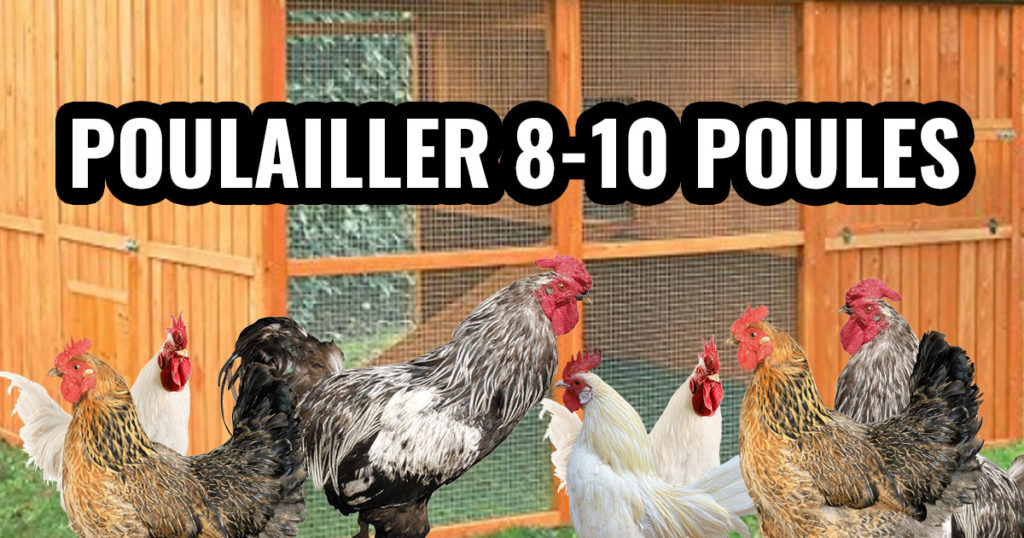Modèles de poulaillers pour 8 à 10 poules