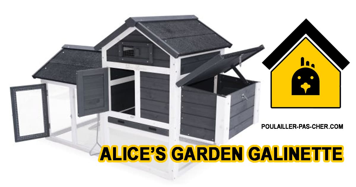 Alice's Garden Poulailler en Bois GALINETTE
