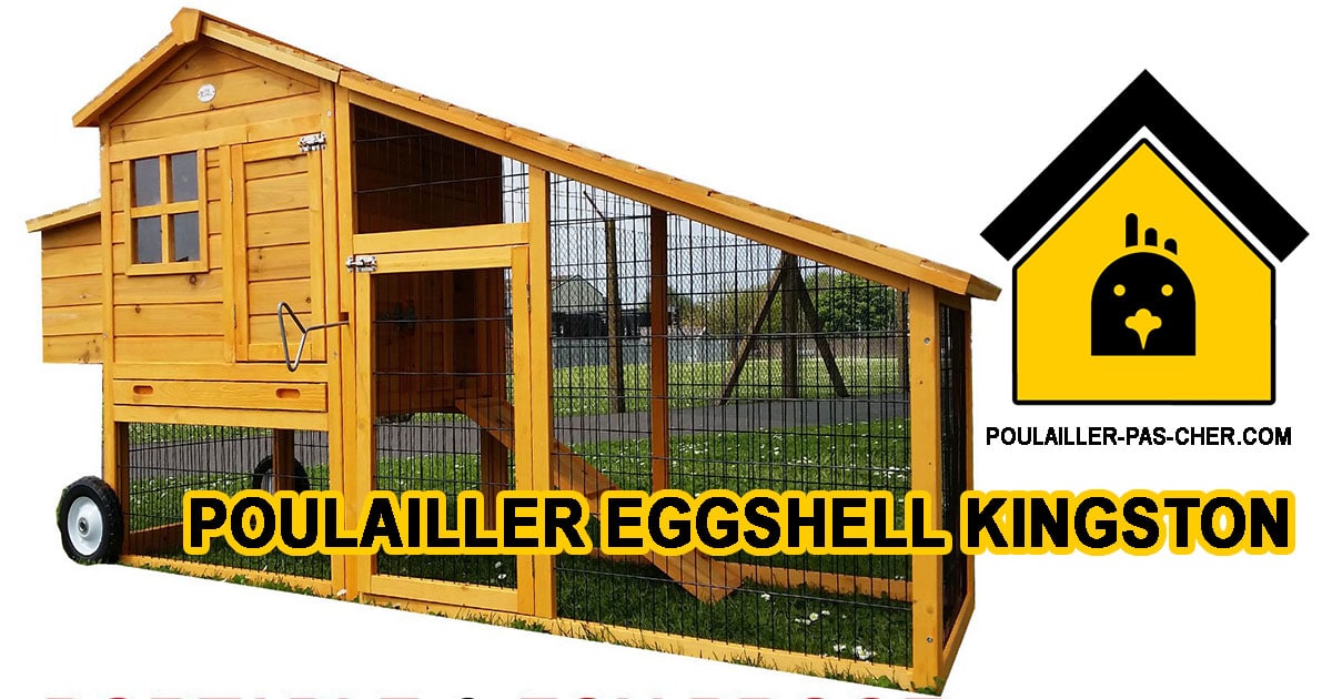 Le poulailler portable de Eggshell