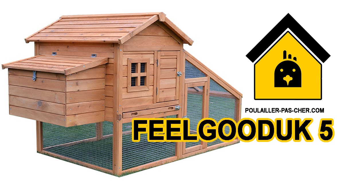 Poulailler FeelGoodUK 5
