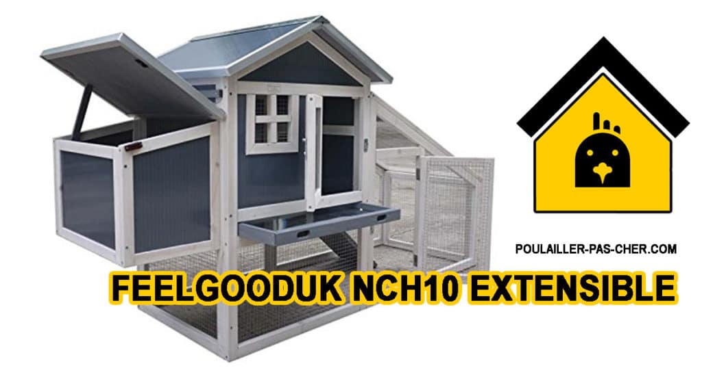 FeelGoodUK NCH10 extensible