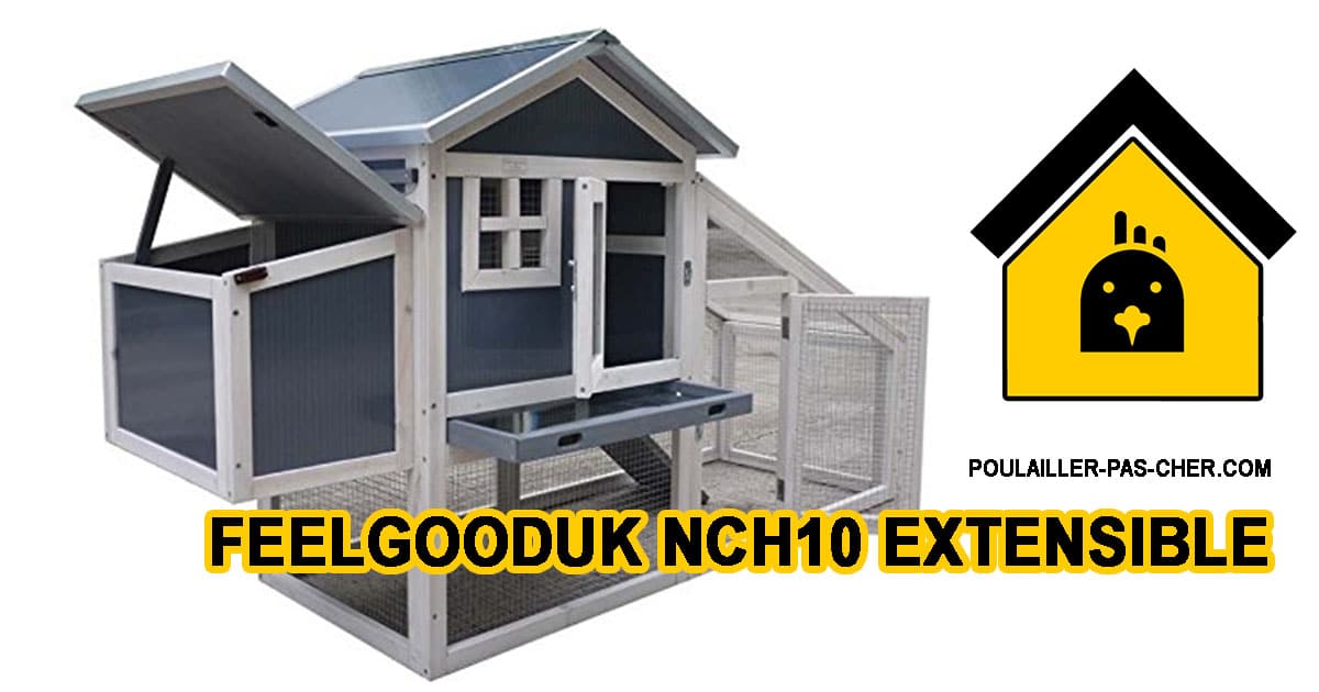 Le poulailler extensible de FeelGoodUk