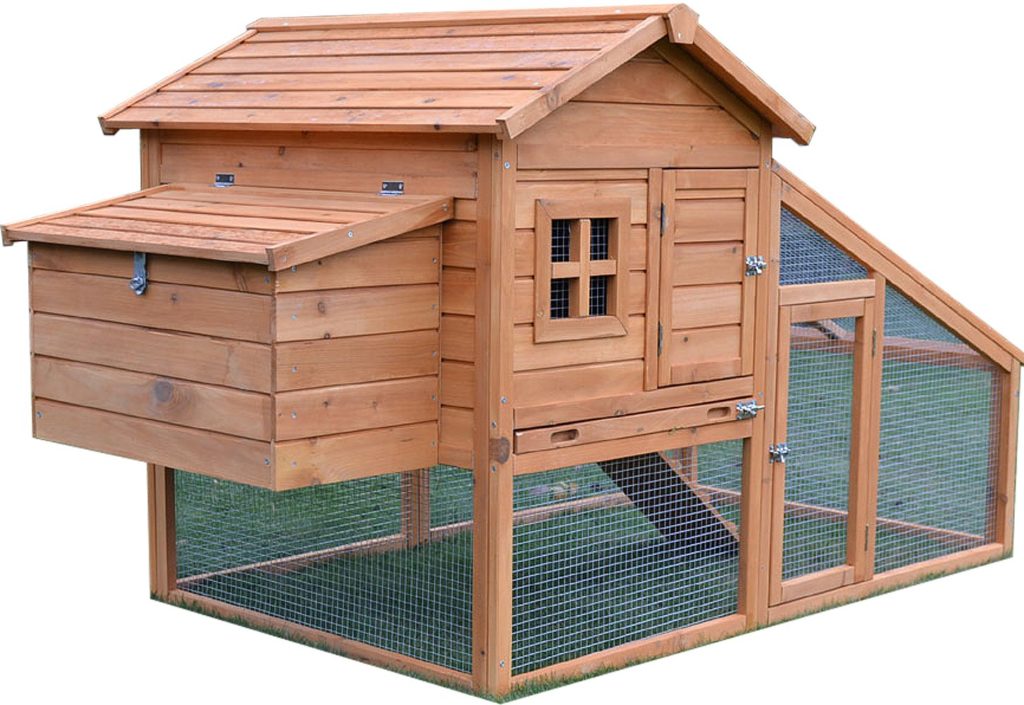 poulailler en bois