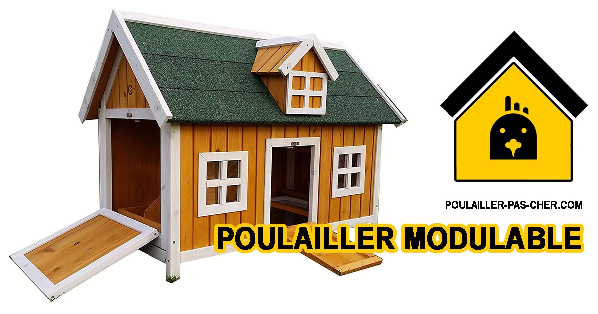 Le poulailler modulable Eggshell