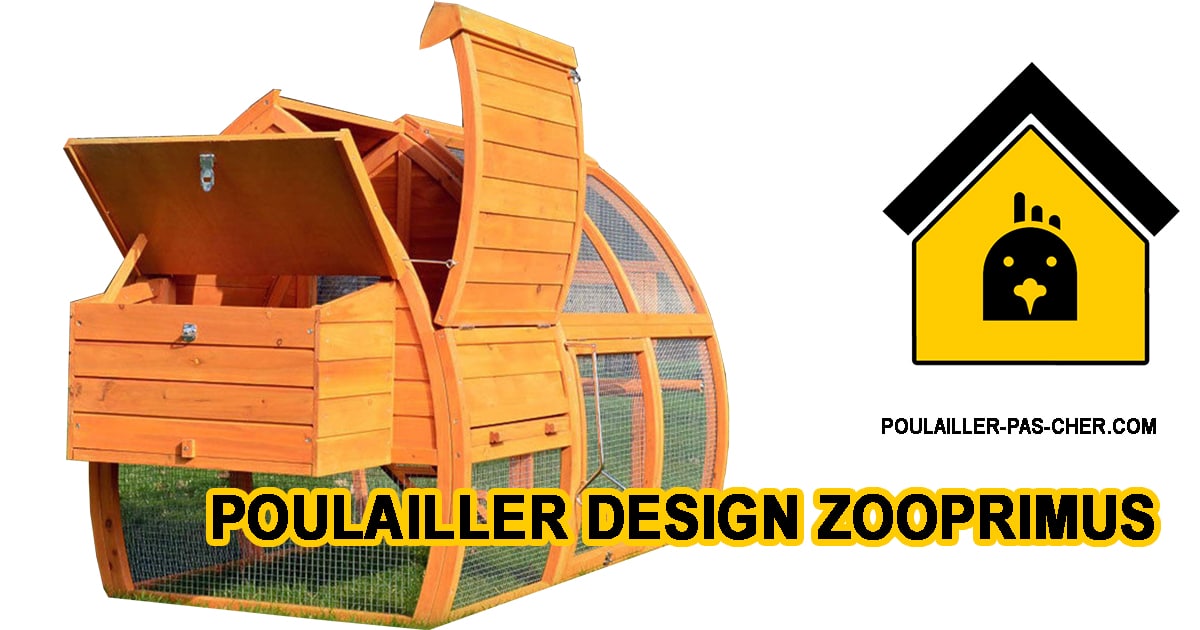 Le poulailler en bois design de Zooprimus