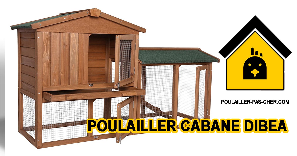 Le poulailler cabane de Dibea