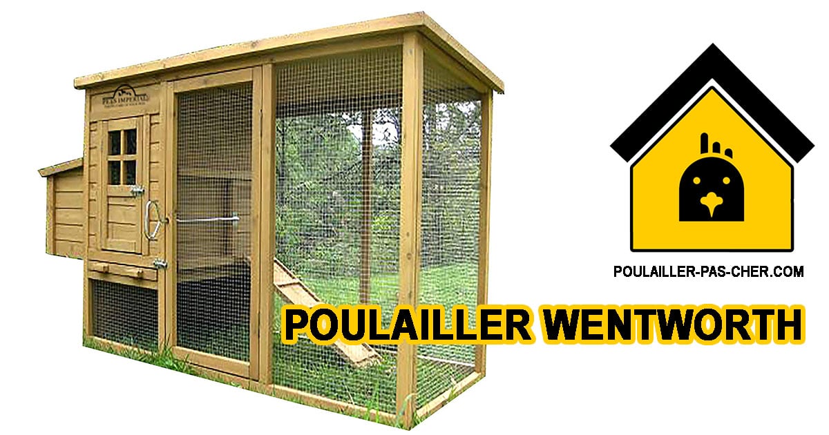Poulailler Wentworth - Chicken Coops