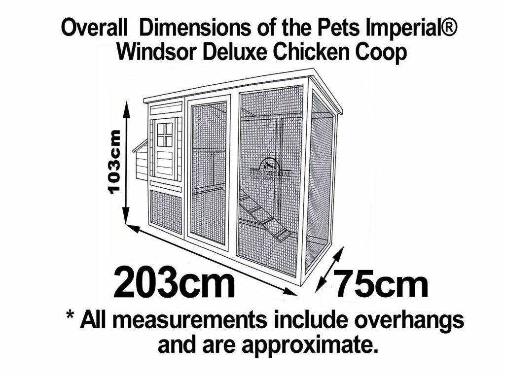 Poulet - Poulailler