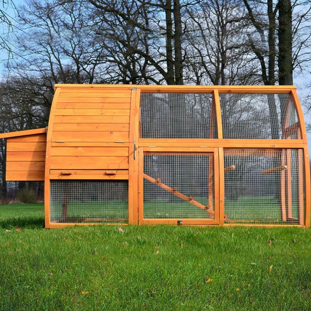 Poulet - Poulailler en bois VIENNE
