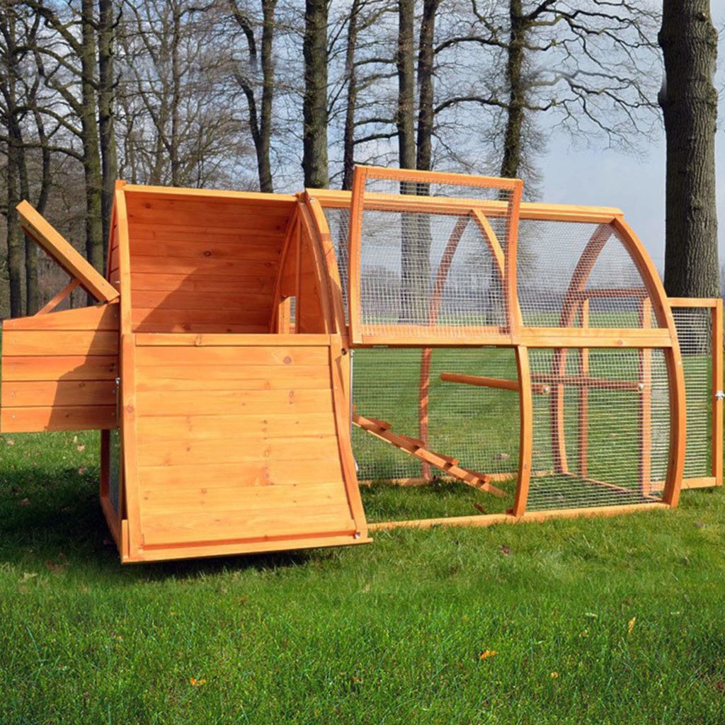 Poulet - Poulailler en bois VIENNE
