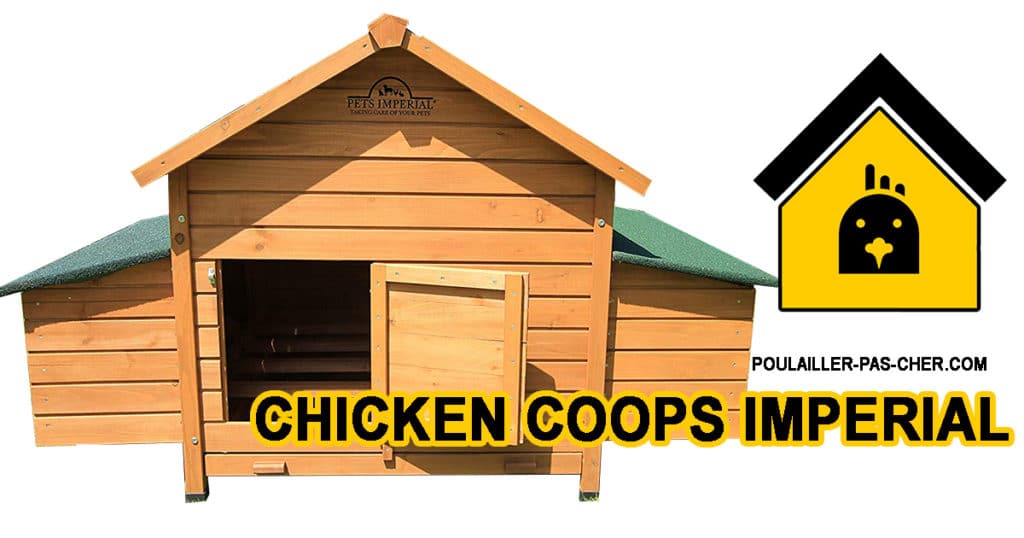 POULAILLER chicken coops imperial B00N500YOE