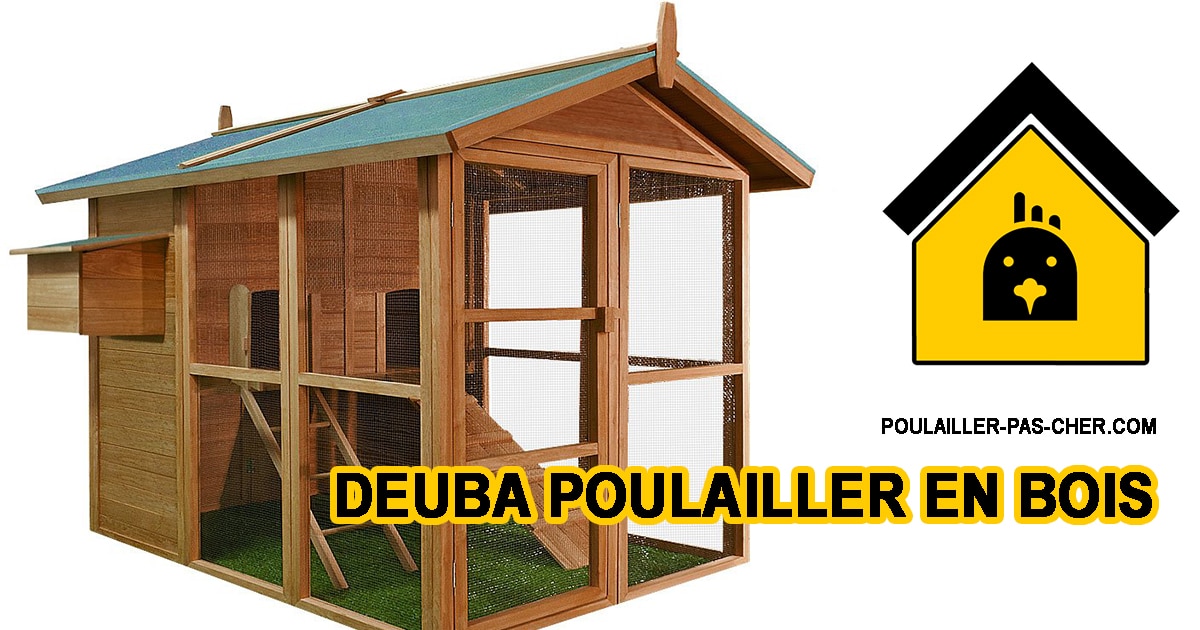 Le poulailler en bois de Deuba