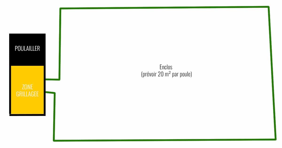 grillage à poules versus enclos