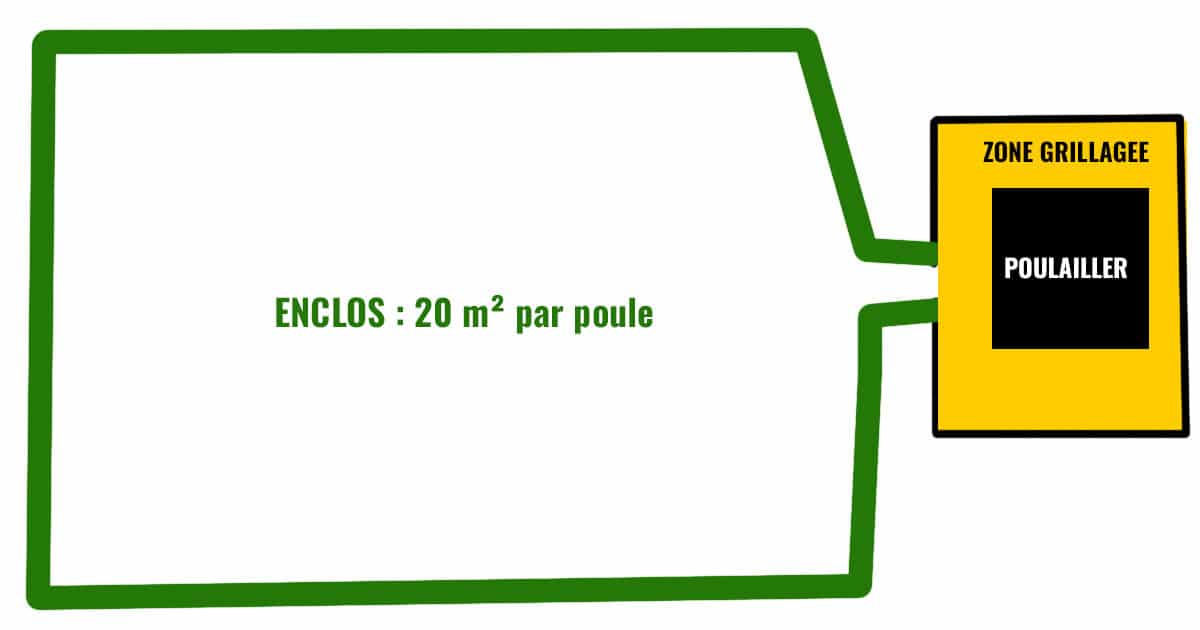 enclos pour les poules