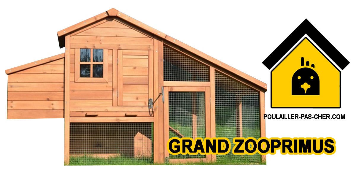 Le poulailler grand format de Zooprimus