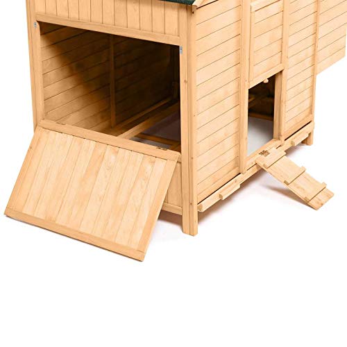 Poulet - poulailler