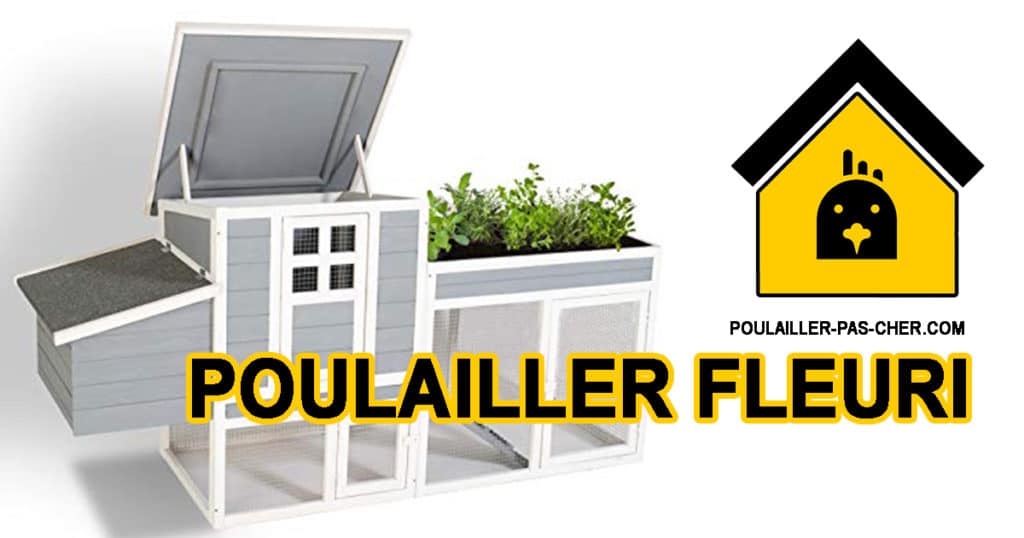 poulailler fleuri B07M9C4PLX