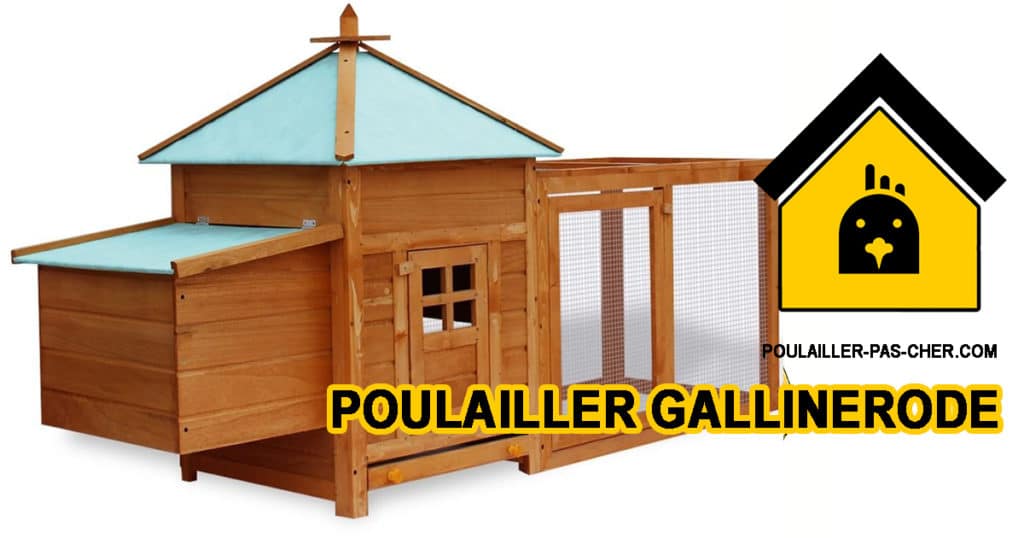 poulailler gallinerode