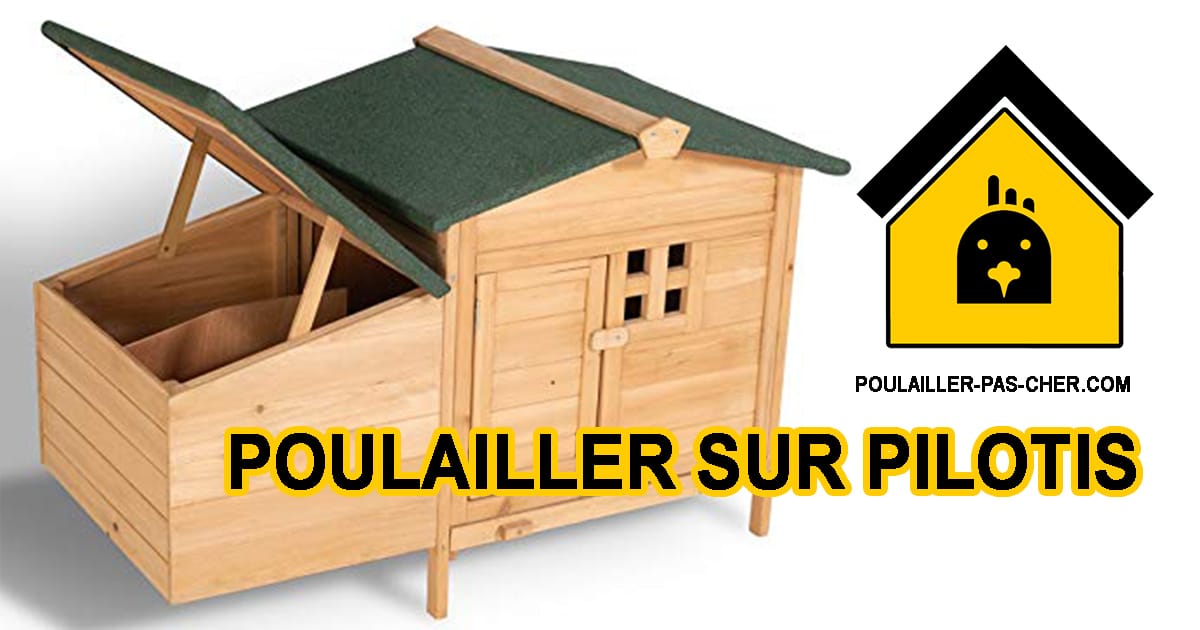 IDMarket - Poulailler sur pilotis avec pondoir en Bois