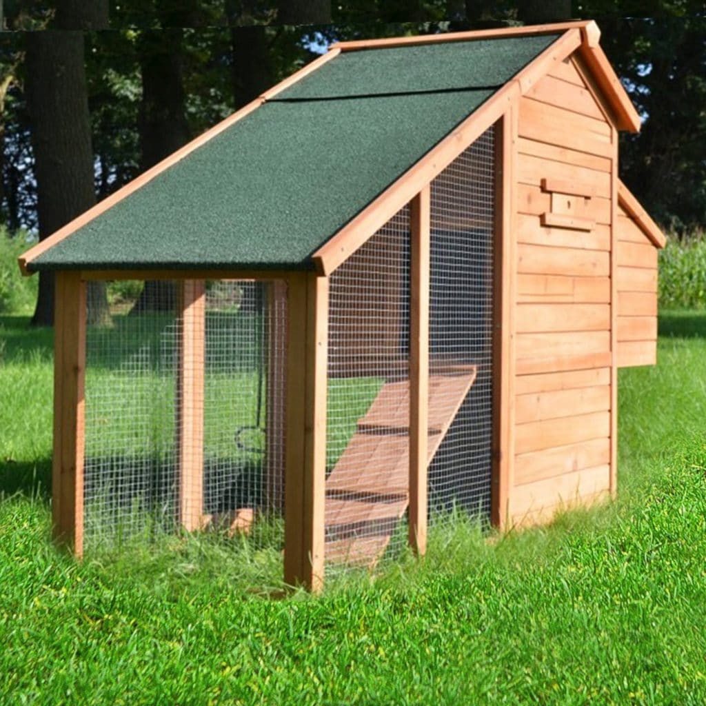Poulet - Poulailler