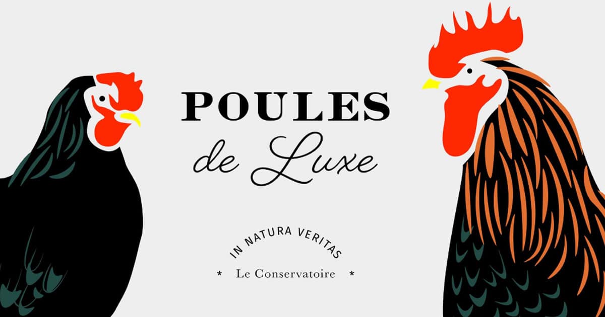 Qui veut s'associer à Poules de luxe ?