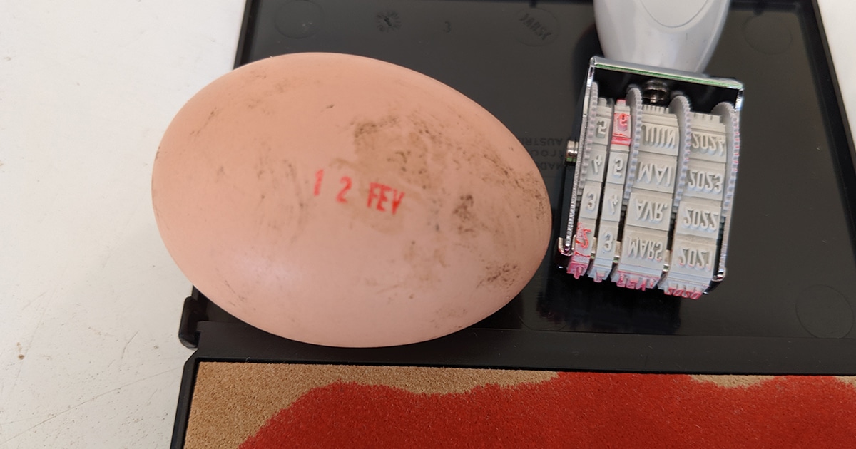 Un tampon à oeuf pour les dater ?