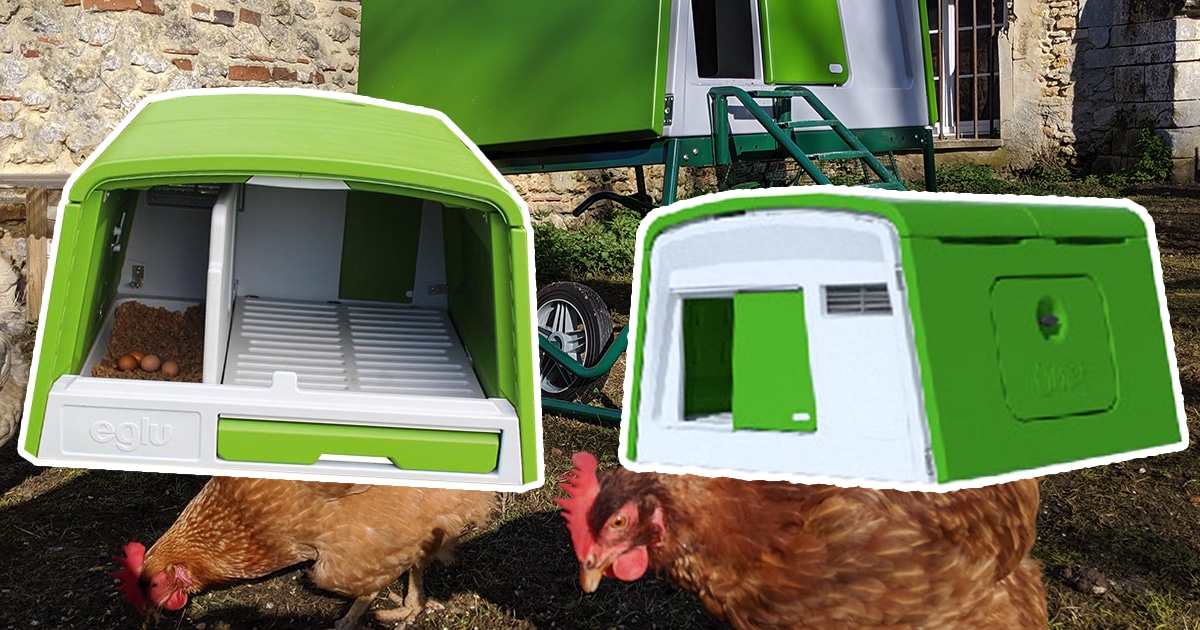 J'ai testé le poulailler Eglu Cube de Omlet