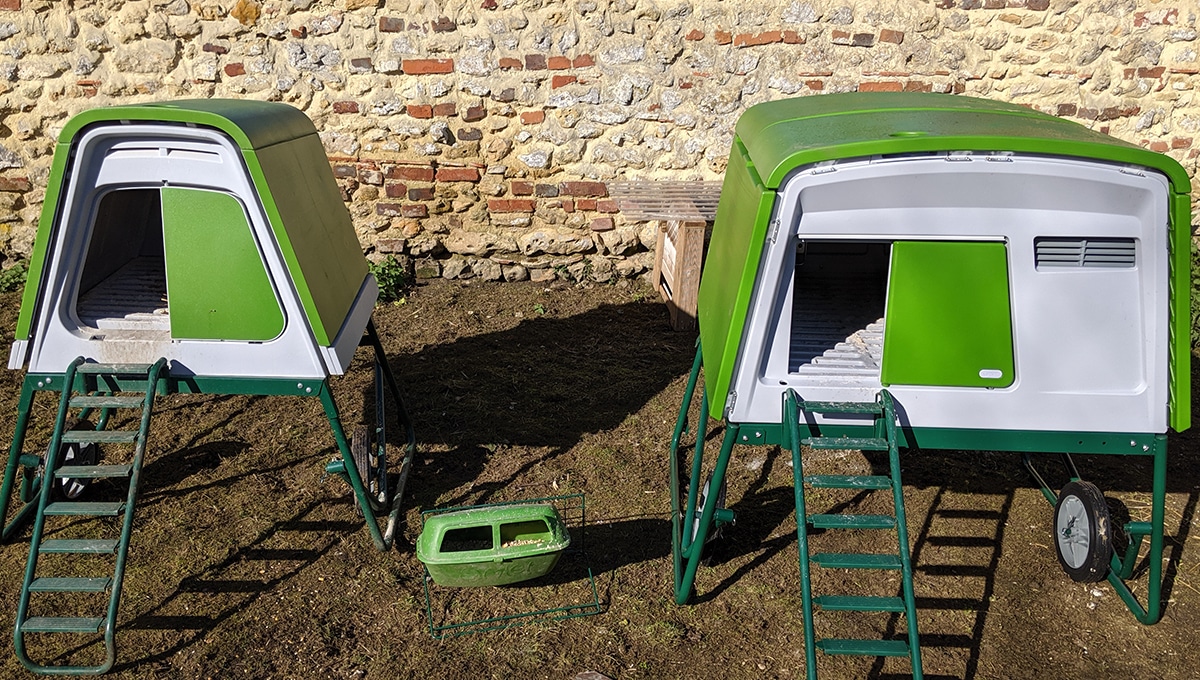 Poulailler Omlet Eglu Go Up ou Eglu Cube ? Le comparatif