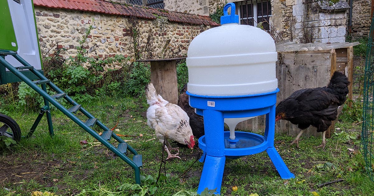 J'ai testé l'abreuvoir sur pied type "château d'eau"