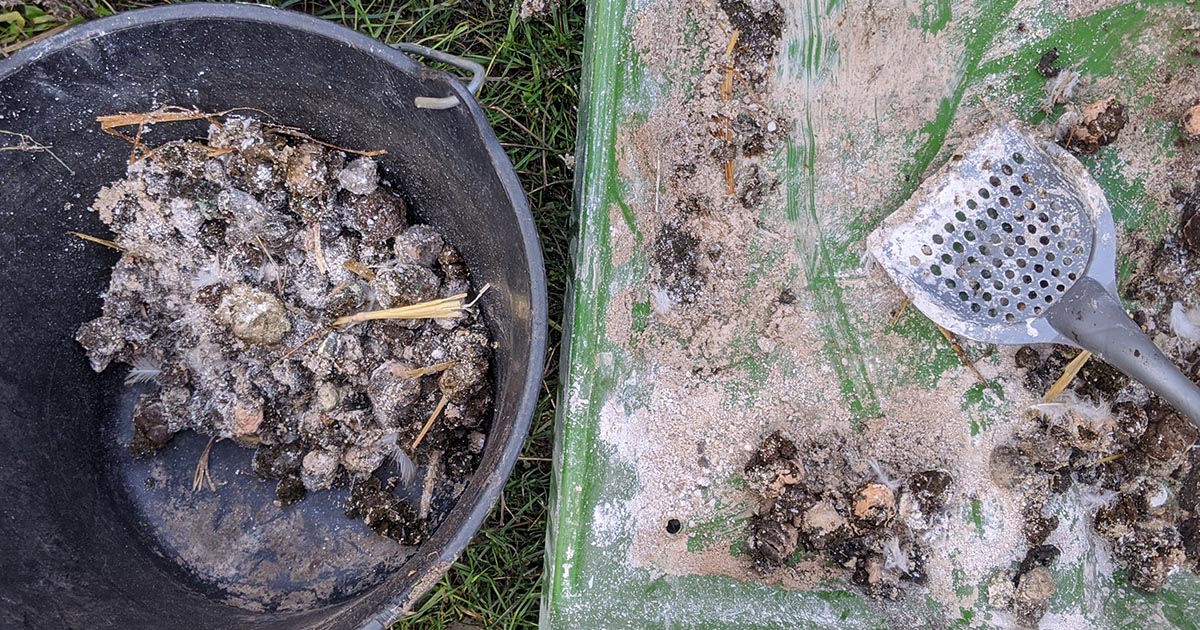 Peut-on mettre des fientes avec terre de diatomée dans le compost (ou jardin)