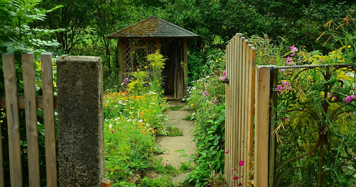 Un abri de jardin pour protéger les graines des nuisibles