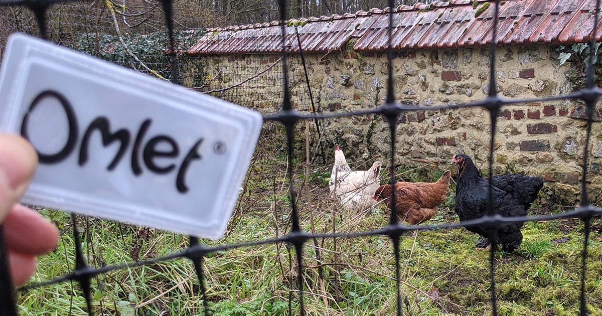 Filet à poules Omlet