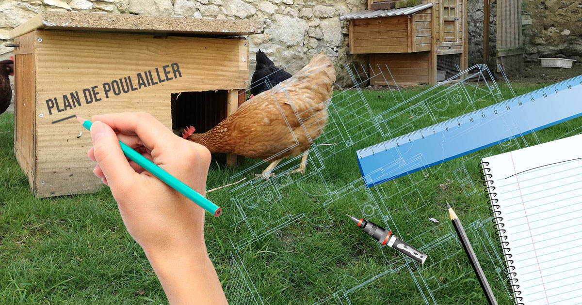 le poulailler, l'habitat des poules