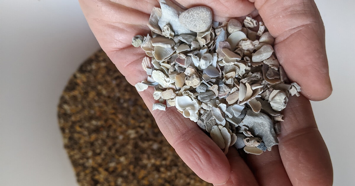 Mélange de grit dans la nourriture