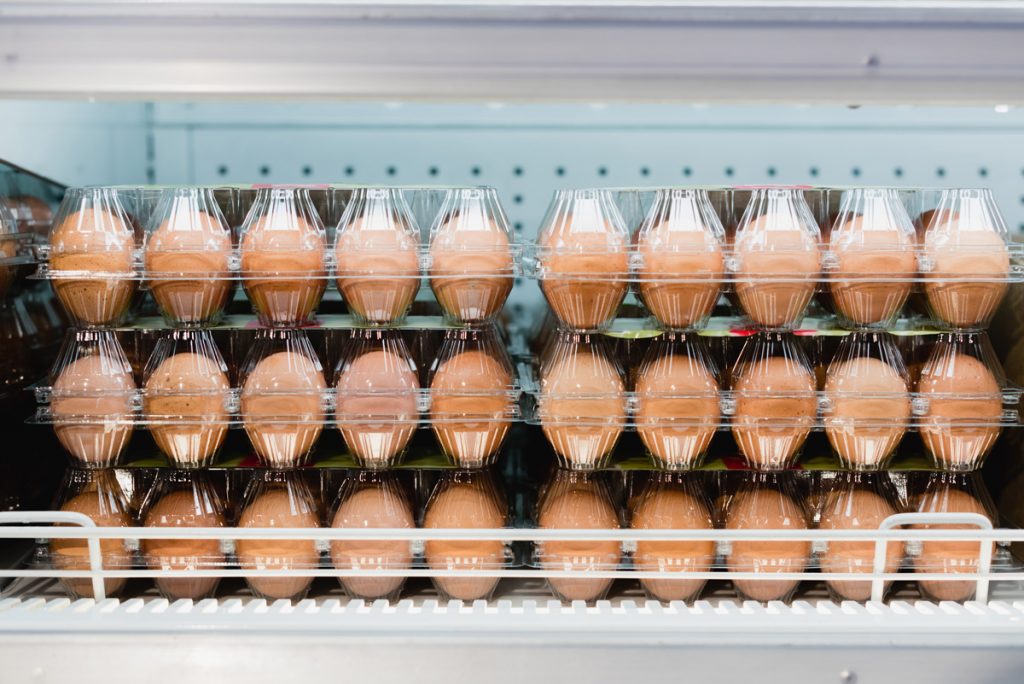 Comment bien conserver ses oeufs